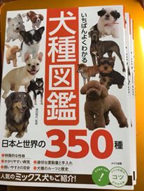 350の個性があるのですね 愛犬と飼い主さんのぬくもりマッサージ Sasuru