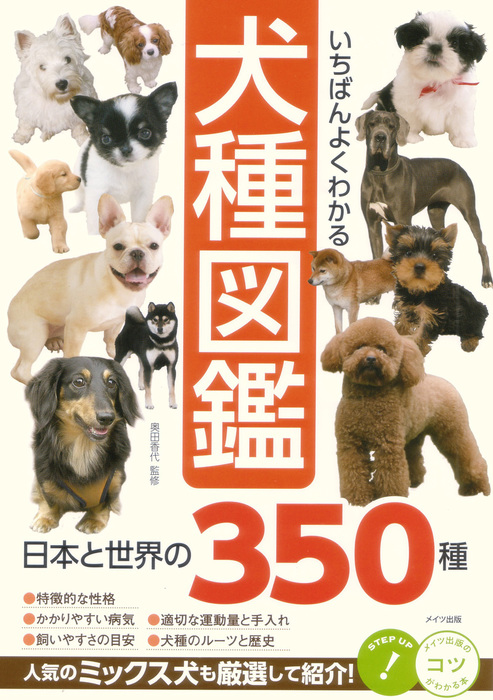 犬はみんな優しいけどその中でも 愛犬と飼い主さんのぬくもりマッサージ Sasuru