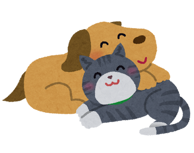 15年間を元気に過ごしてほしいですよね 愛犬と飼い主さんのぬくもりマッサージ Sasuru