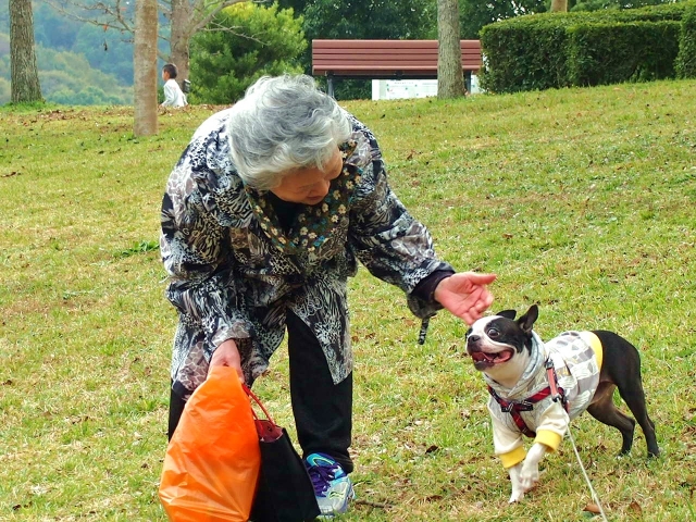 愛犬に 手をかける と 目をかける の違い 愛犬と飼い主さんのぬくもりマッサージ Sasuru